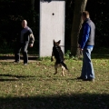 bild050