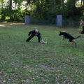 bild052
