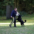 bild053