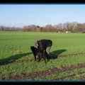 bild030