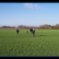bild032