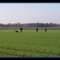bild033