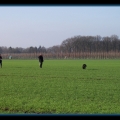 bild034