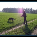 bild040