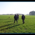 bild041