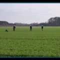 bild043