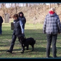 bild071