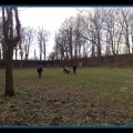 bild180