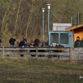 bild_009