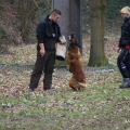 bild_039