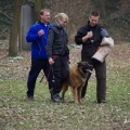 bild_040