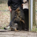 bild_044