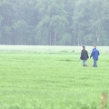 www_IMGP3802
