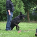 www_IMGP4886