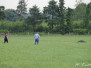3. Aug. 2013: Sommerprüfung