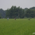 bild_05