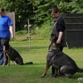 bild_09