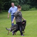 bild_11