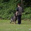 bild_13