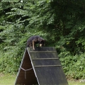 bild_18