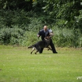 bild_23