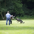 bild_24