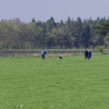 bild_13