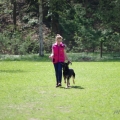 bild_15