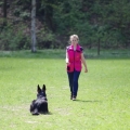 bild_17