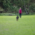 bild_18