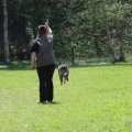 bild_31