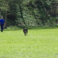 bild_35