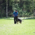 bild_41