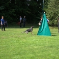 www_IMGP7109