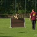 comp_IMGP8887