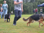 9. August 2014: LG-Jugendzuchtschau