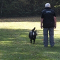 Bella bringen